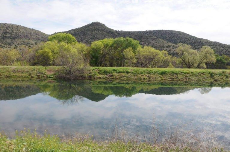 Bubbling Ponds Fish Hatchery