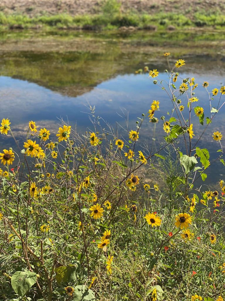 Bubbling Ponds Fish Hatchery