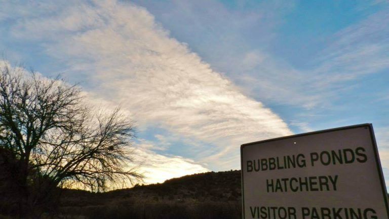 Bubbling Ponds Fish Hatchery