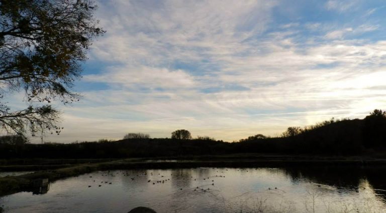 Bubbling Ponds Fish Hatchery