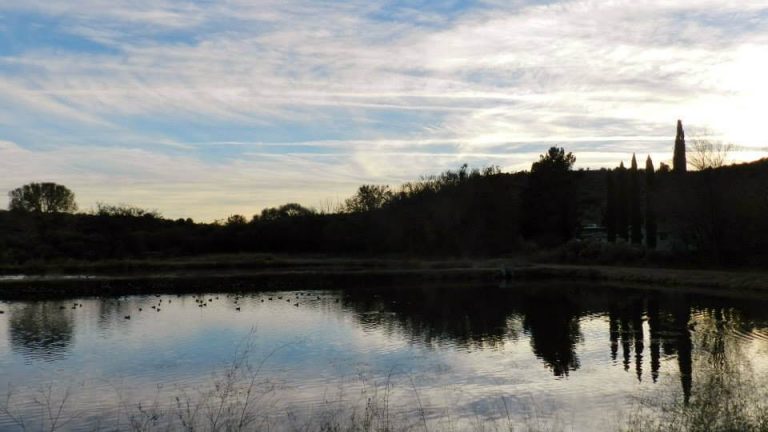 Bubbling Ponds Fish Hatchery