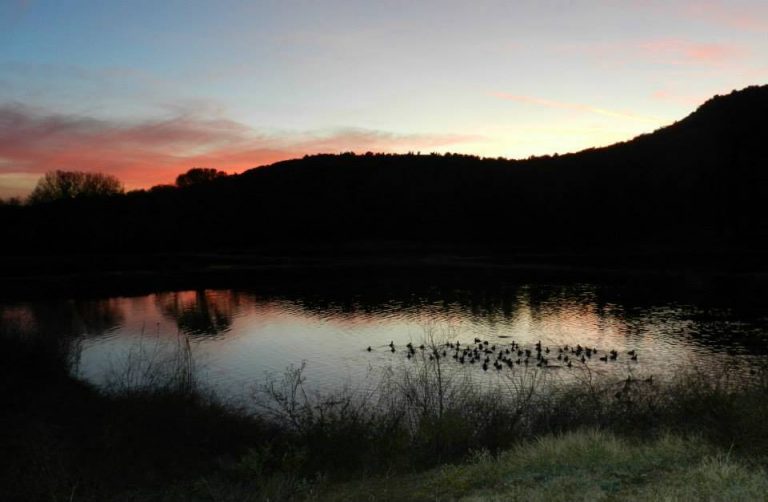 Bubbling Ponds Fish Hatchery