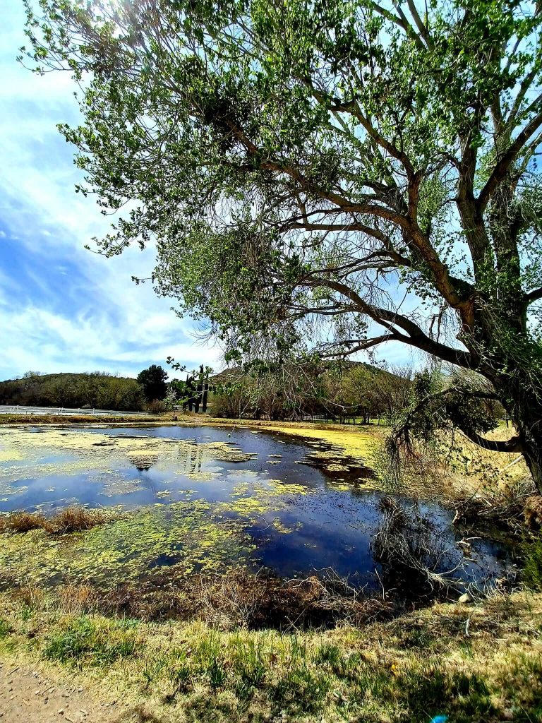 Bubbling Ponds Fish Hatchery